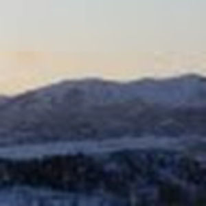 Meet your Posher, Calvin